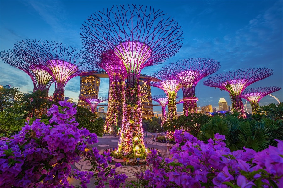 Get to know Singapore better
